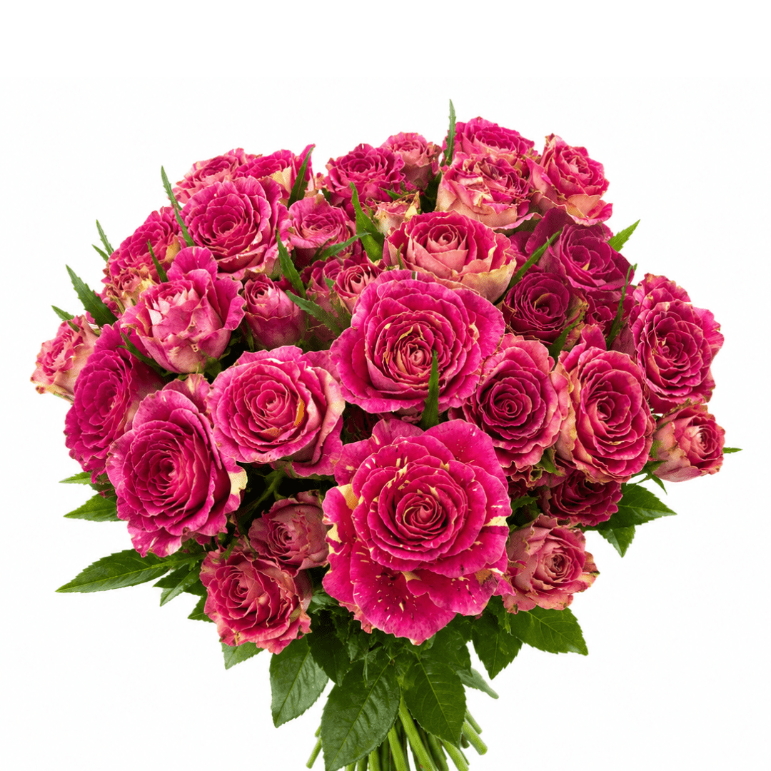 Spray Rose - Marble Pink
