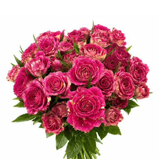 Spray Rose - Marble Pink