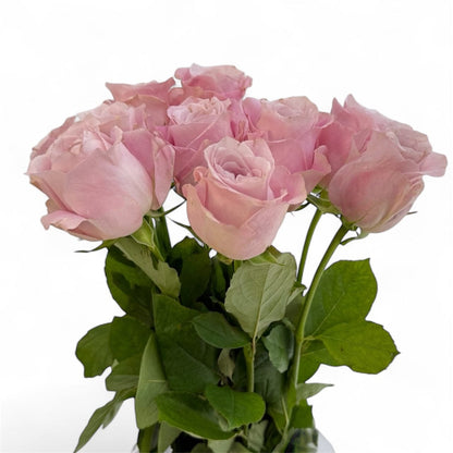 Fresh Cut Flowers at Floristika 