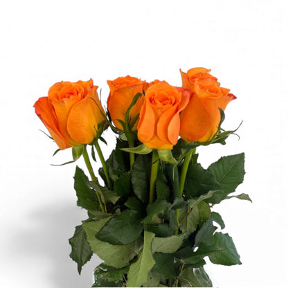 Fresh Cut Flowers at Floristika