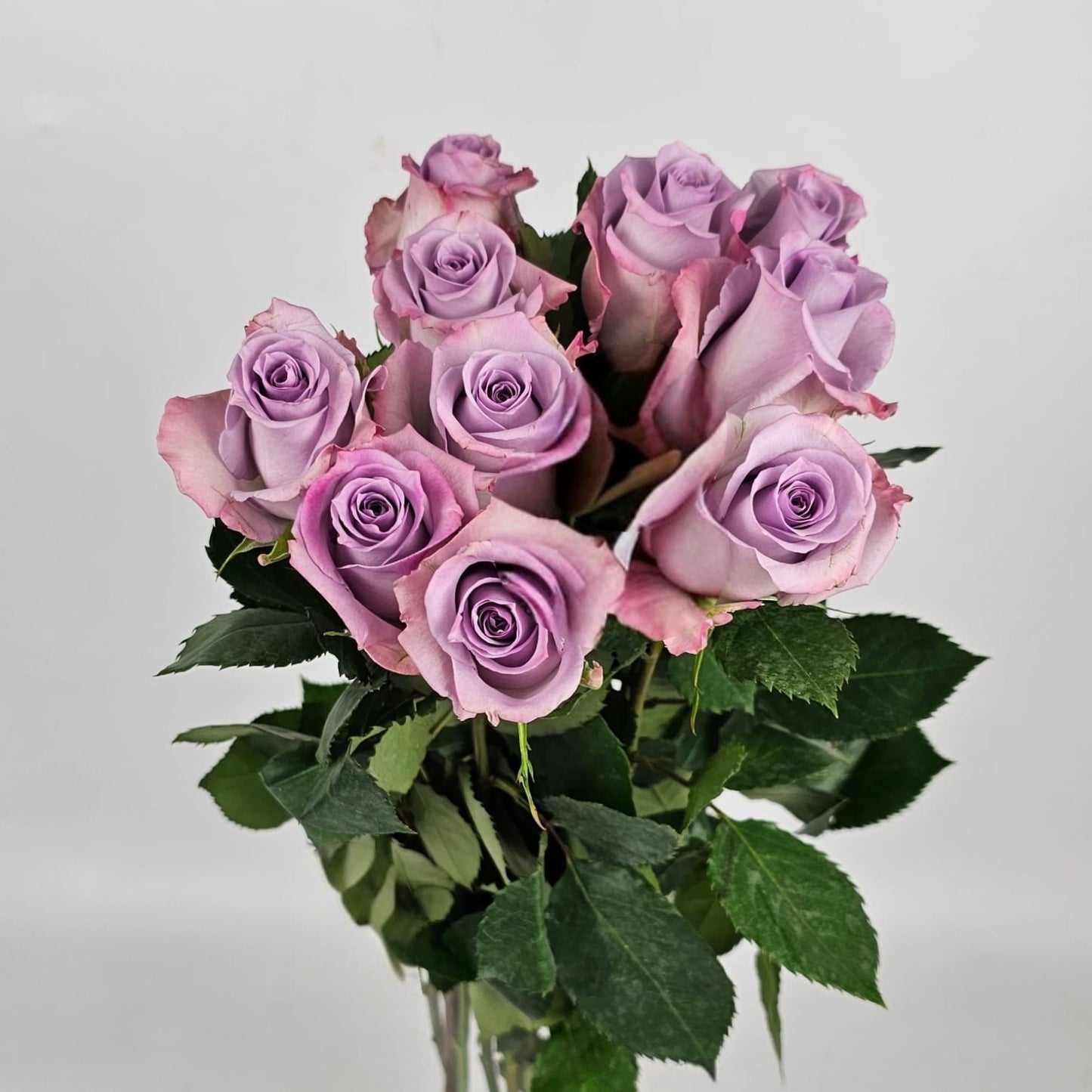 Fresh Cut Flowers at Floristika