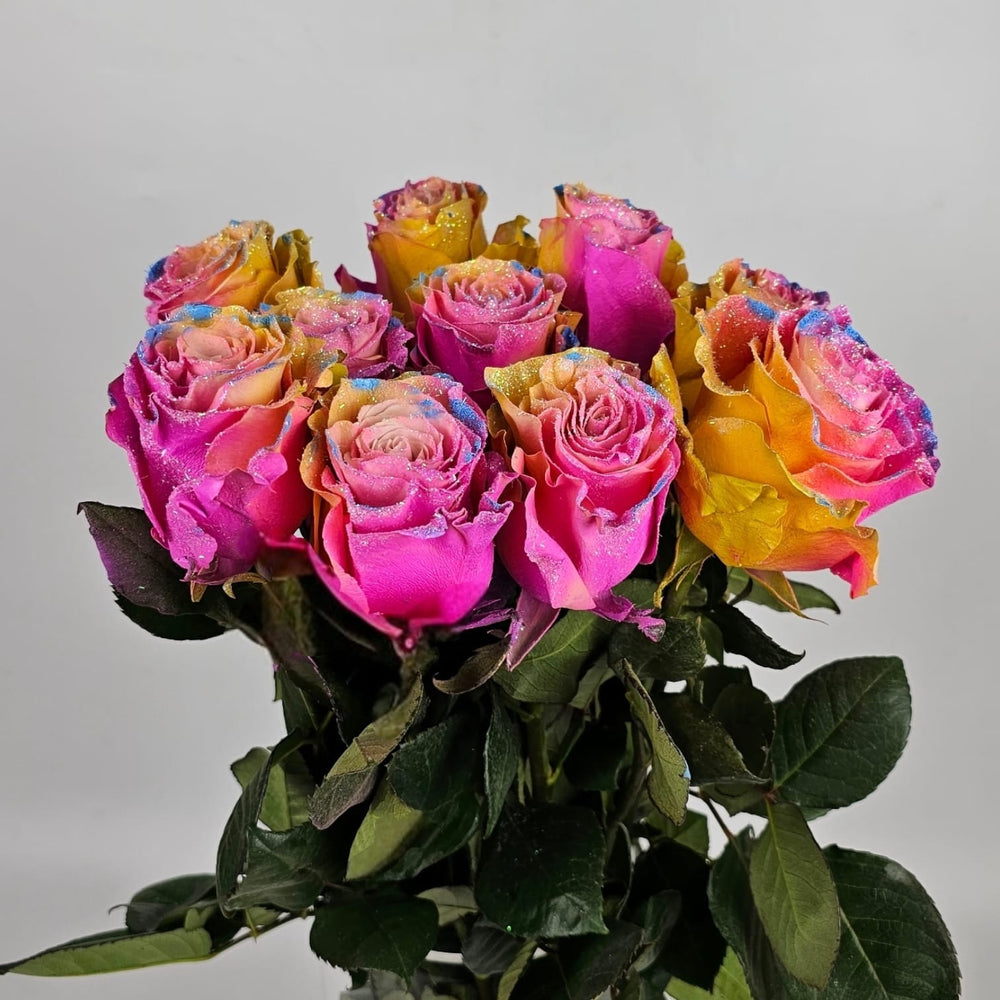 Rose Painted 50cm - Frosting Candy