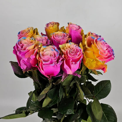 Fresh Cut Flowers at Floristika