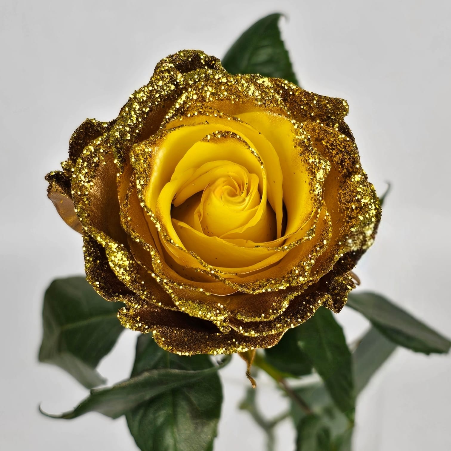 Rose Painted 50cm – Gold Party | Floristika.