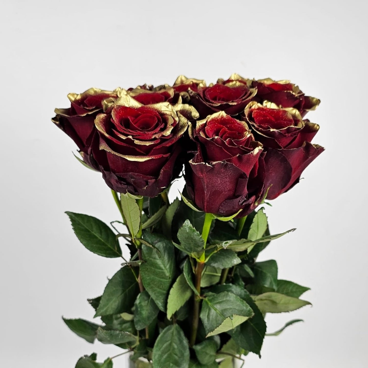 Fresh Cut Flowers at Floristika