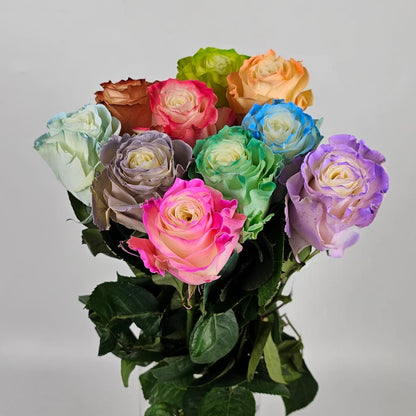 Fresh Cut Flowers at Floristika