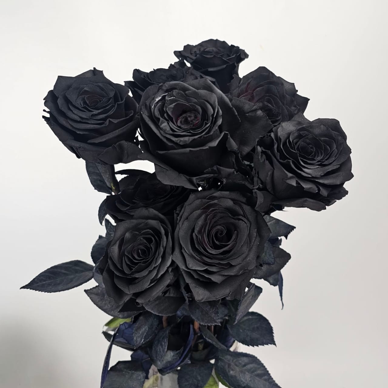 Fresh Cut Flowers at Floristika