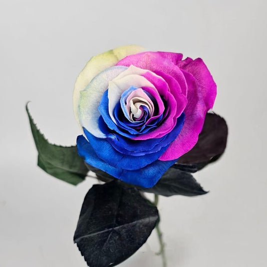 Fresh Cut Flowers at Floristika