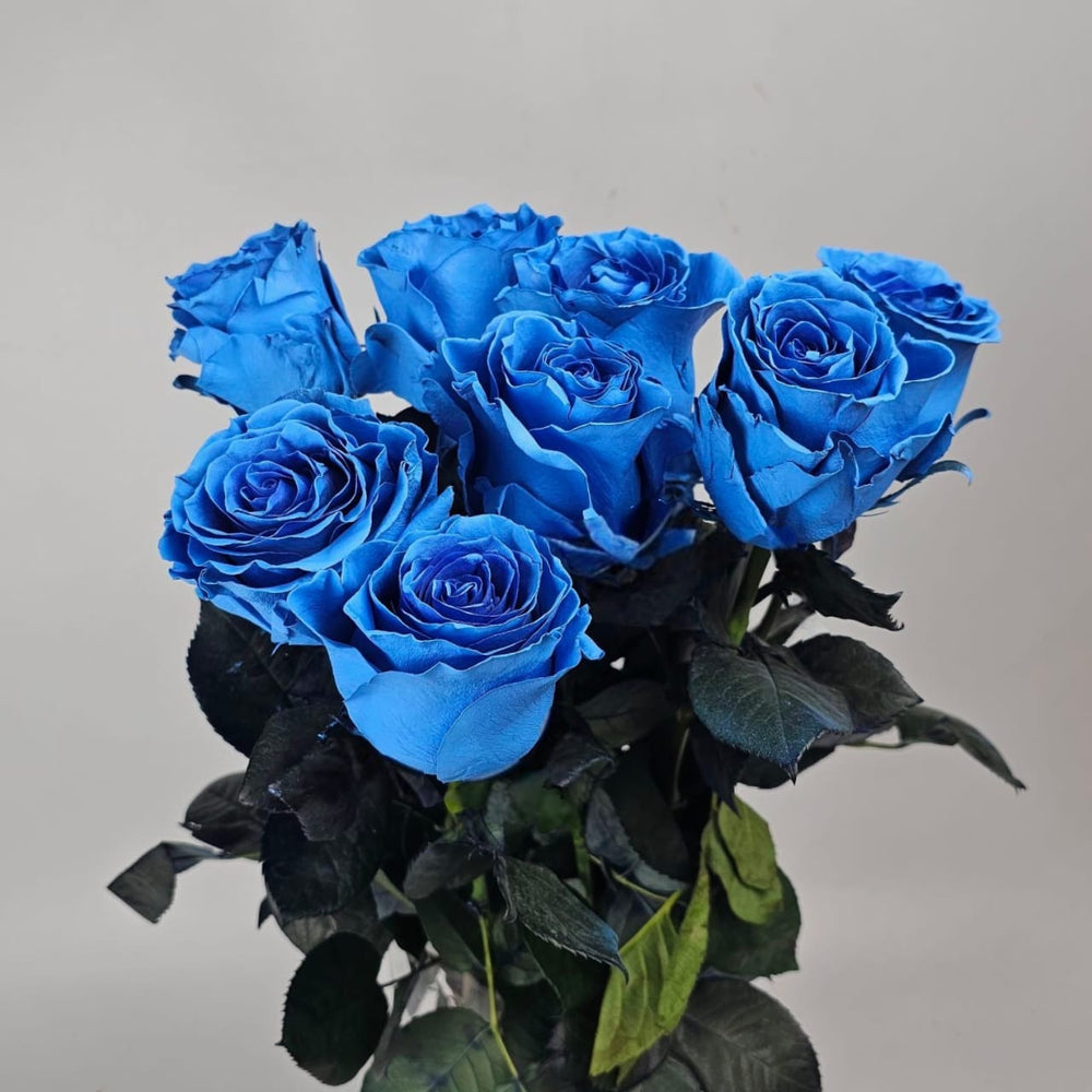 Rose Painted 50cm - Light Blue (10 Stems)