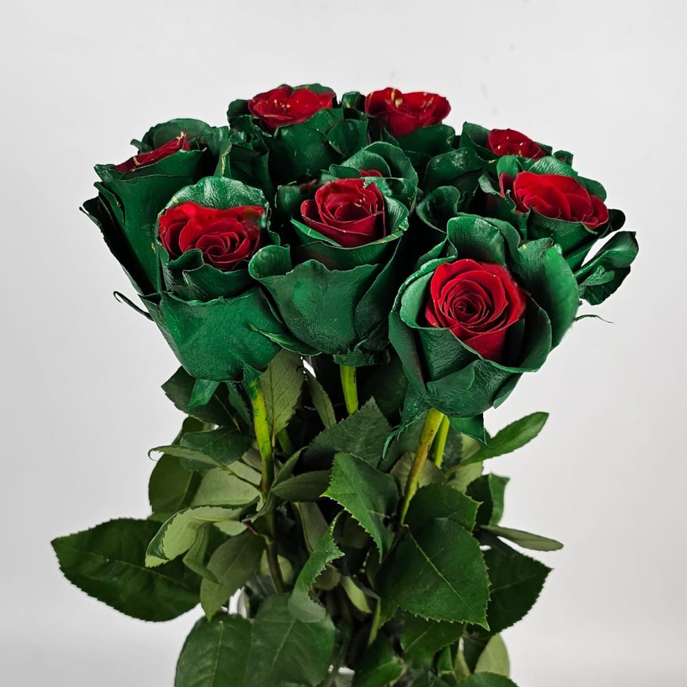 Red Picasso Roses Rose Painted 50cm – Picasso Xmas (Green & Red) | Floristika