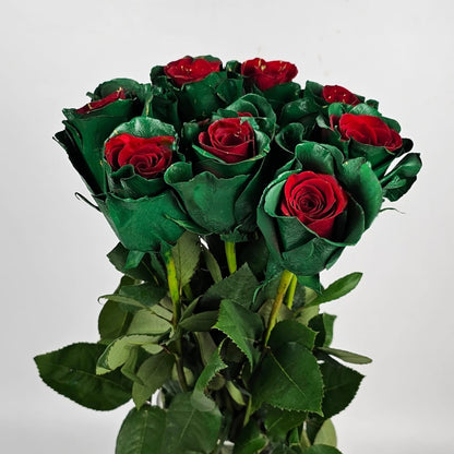 Fresh Cut Flowers at Floristika