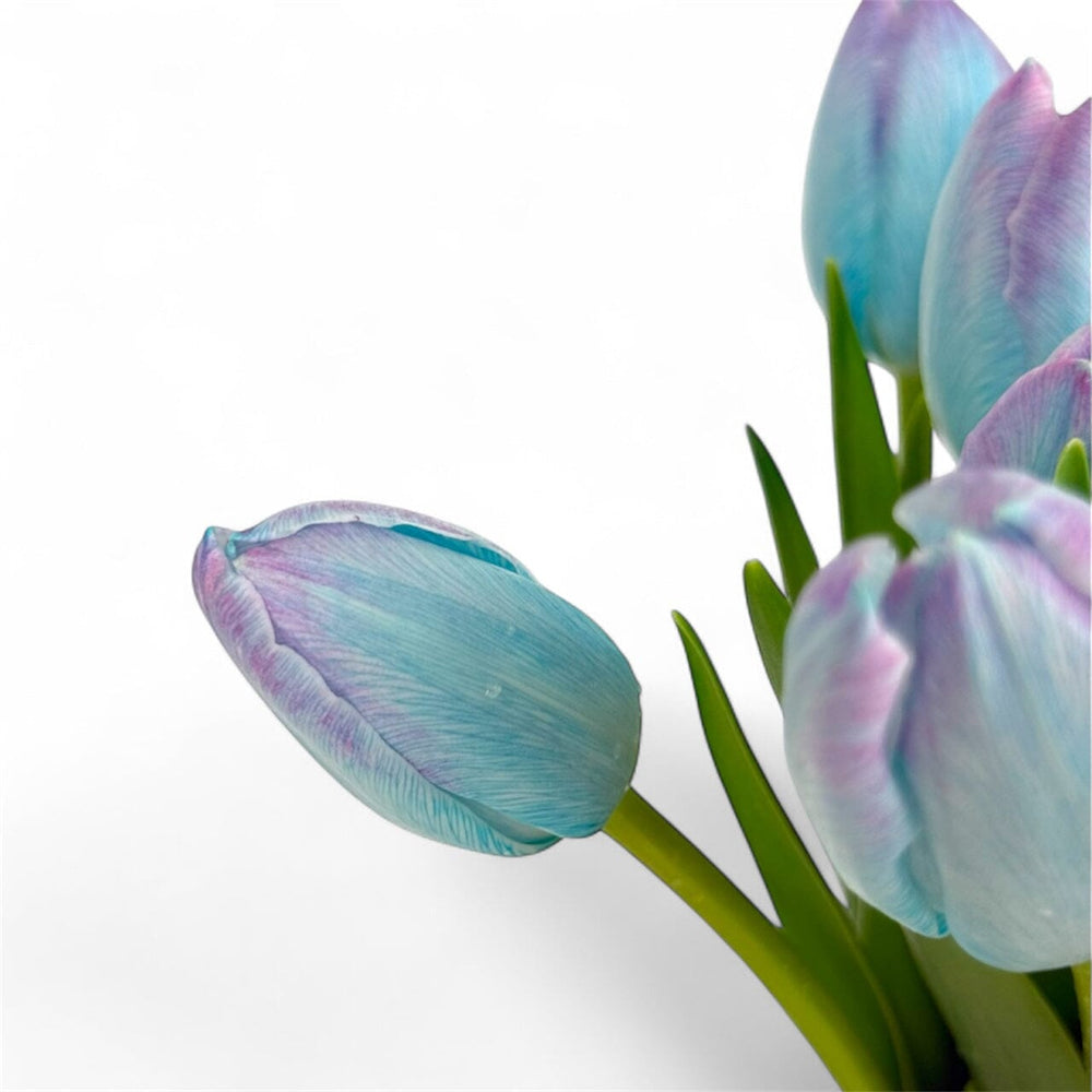 Tulip - 2 Tone Blue Purple