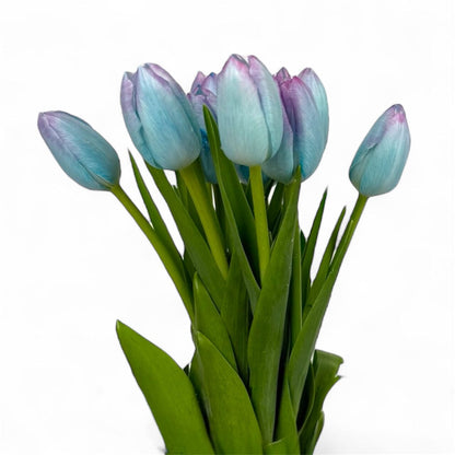 Fresh Cut Flowers at Floristika