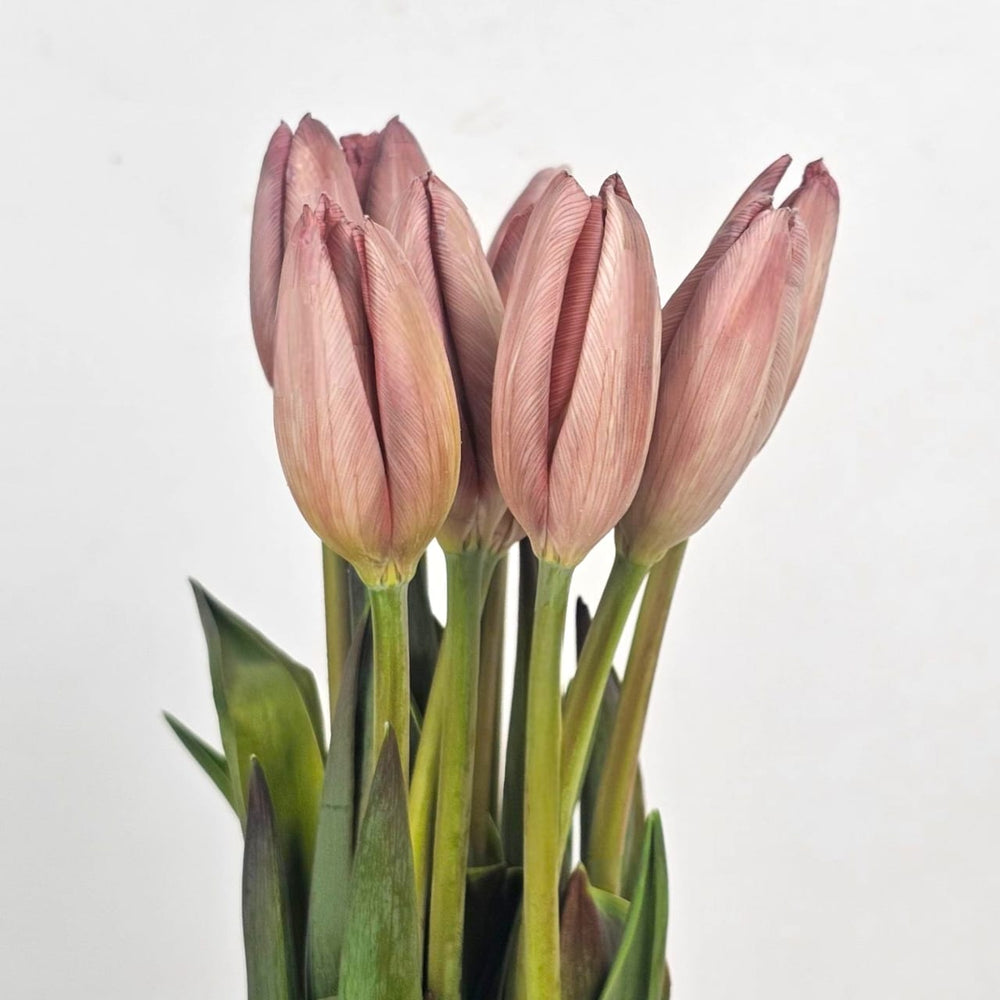 Tulip Mix - Pink