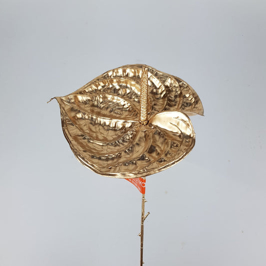 Artificial Anthurium Gold