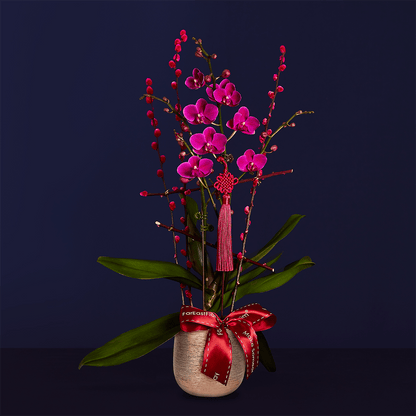 Double Happiness 喜福成双 – Phalaenopsis