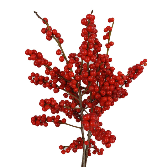 Ilex Berry - 40cm (1 Stem)