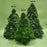 Mini Christmas Tree Abies Nobilis 50cm (Imported)