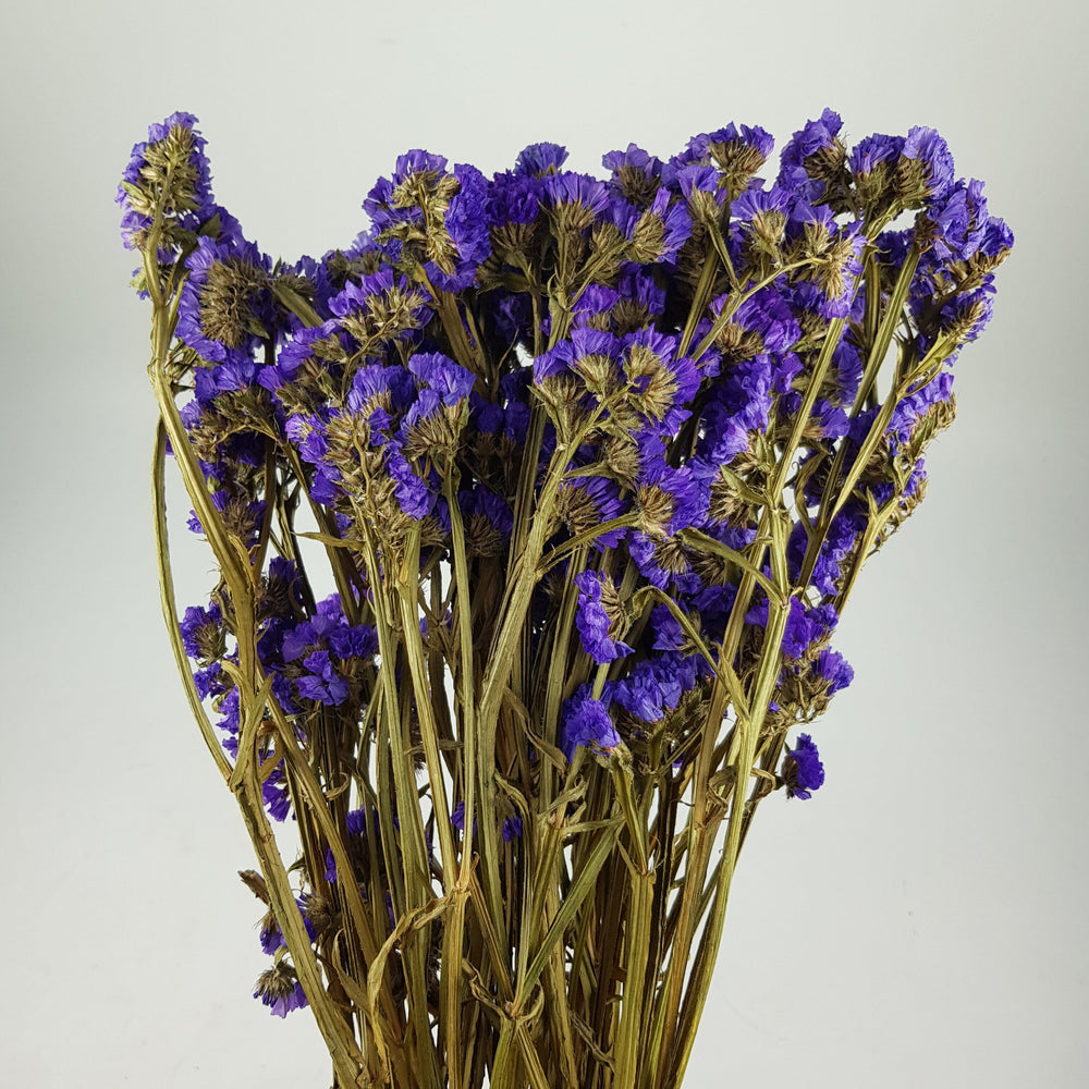 Dried Statis Dried Statice - Purple