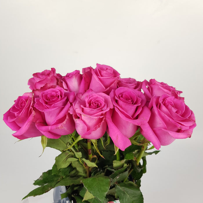 [Fully Bloom] Rose - Pink10 Stems