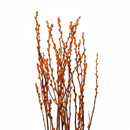 [Pre-Order] Pussy Willow Spray 5Ft - Gold (9-10 Stalks)
