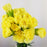 Carnations (Imported) - Yellow