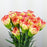 PRE-ORDER - [20 Stems]Carnations (Imported) - 2 Tone Yellow Red