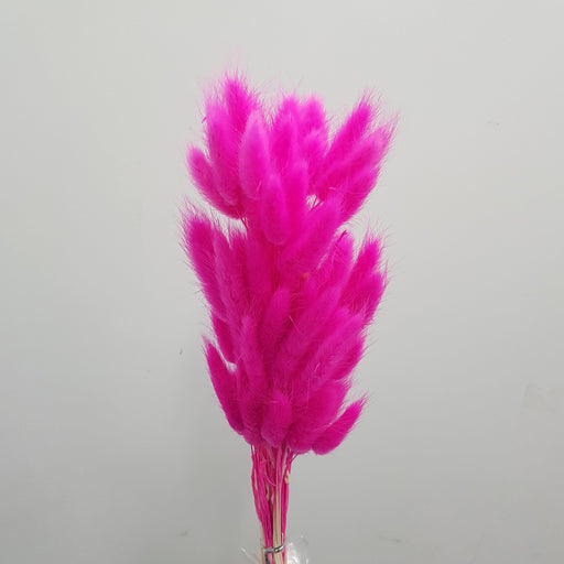 Preserved Rabbit Tail (Imported) - Bright Pink