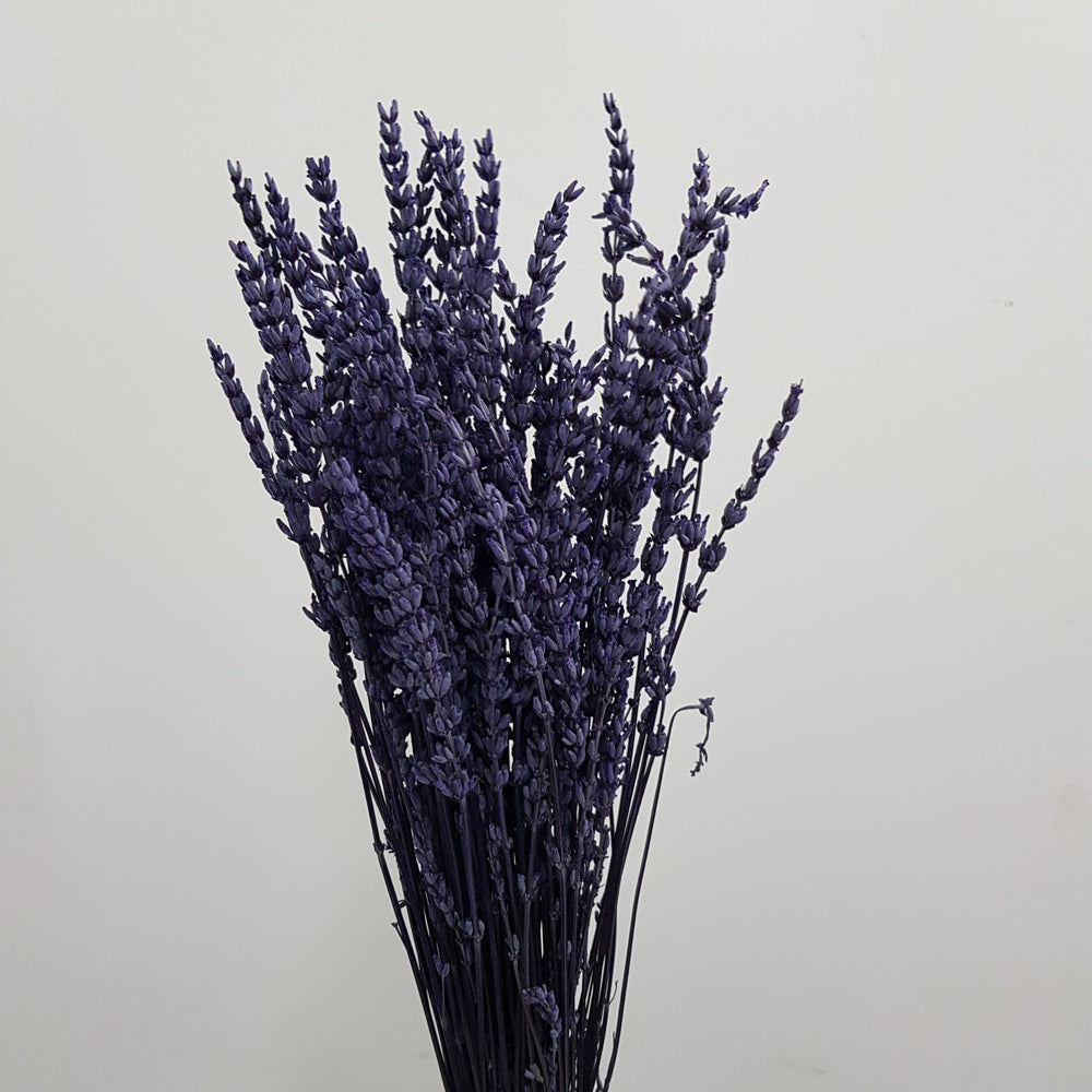 Dried Lavender (Imported) - Dark Purple