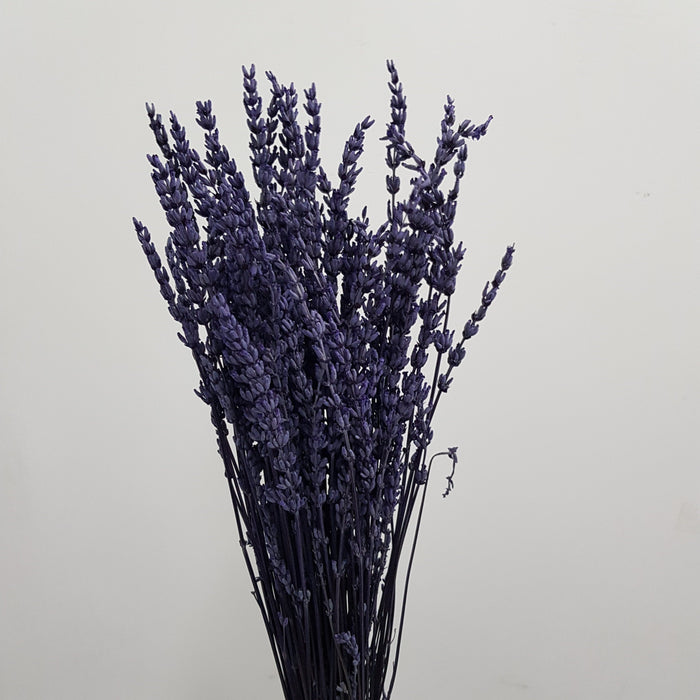 Dried Lavender (Imported) - Dark Purple