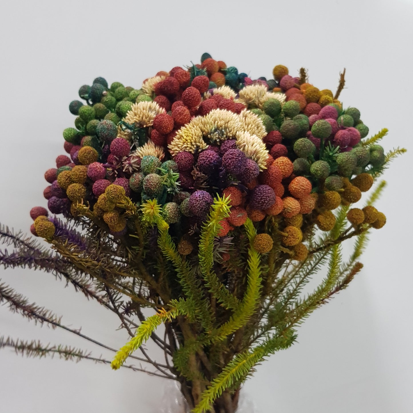Berzelia Tint Bouquet