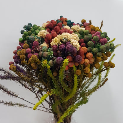 Berzelia Tint Bouquet