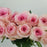 Rose (Imported) - 2 Tone Light Pink White