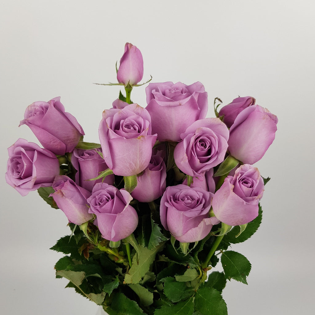 Wholesale Fresh Cut Roses with Convenient Delivery - Floristika