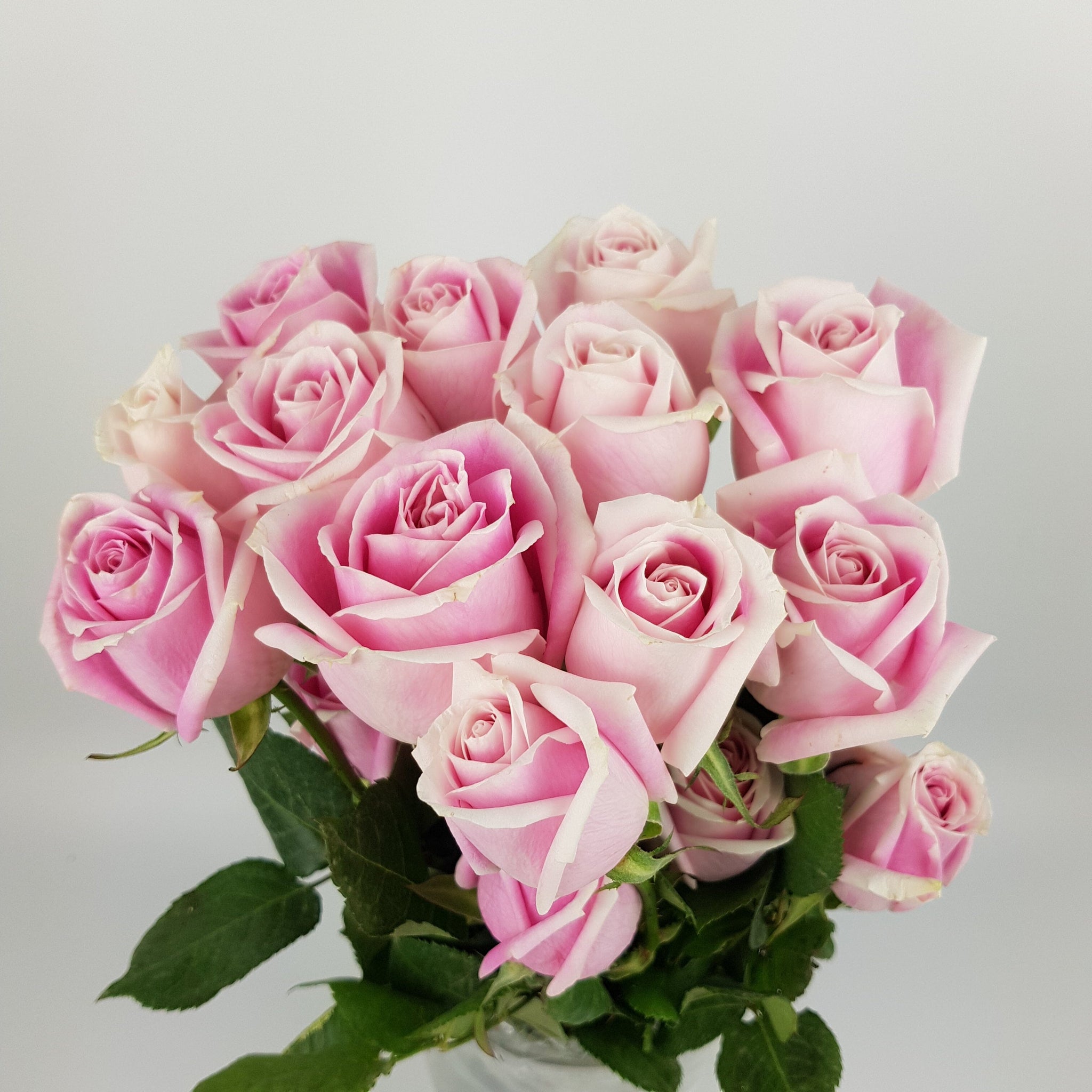 Wholesale Fresh Cut Roses with Convenient Delivery - Floristika
