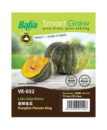 BABA Vegetable Seeds - Pumpkin Pioneer King