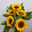 Helianthus Sunflower (Imported) - Yellow