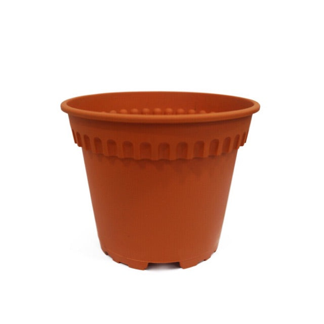 Baba Flower BABA Biodegradable Flower Pot RD-150