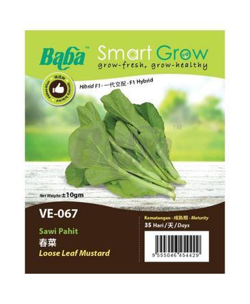 BABA Vegetable Seeds - Loose Leaf Mustard