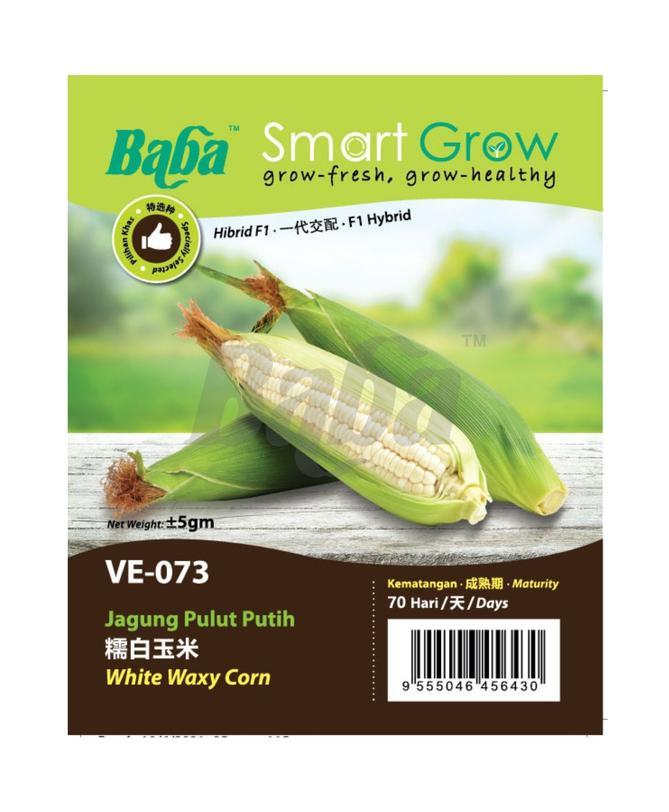 BABA Vegetable Seeds - White Waxy Corn