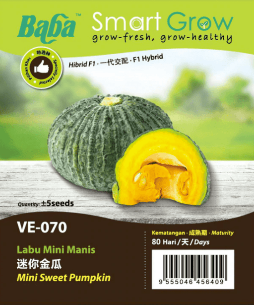 BABA Vegetable Seeds - Mini Sweet Pumpkin