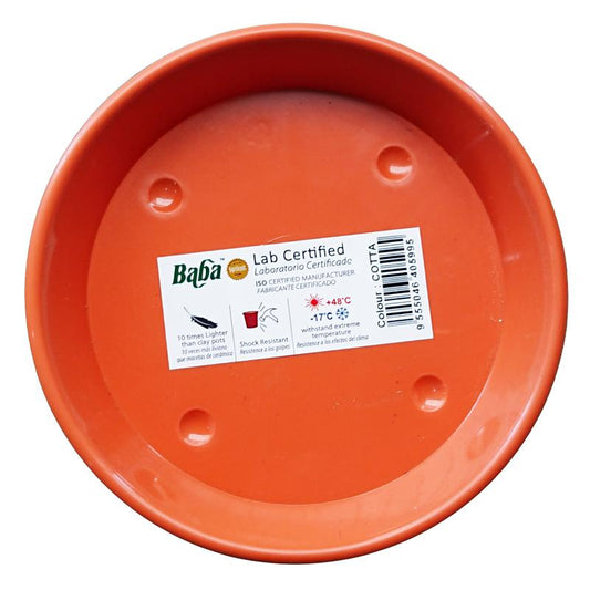 BABA 919 Saucer (Local) - Cotta