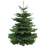 Real Christmas Tree (7/8 ft.) - Premium Grade Noble Fir