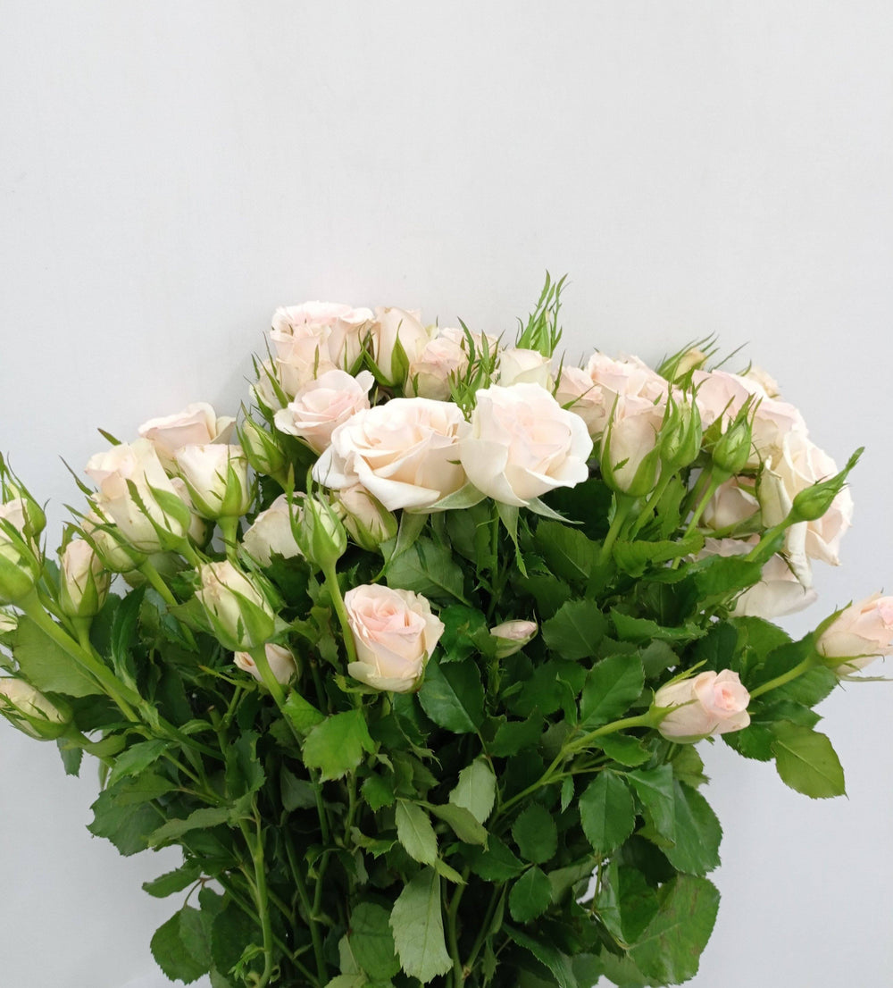 Fully Bloom Rose Spray - Mix [Clearance Stock]
