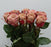Rose Cappucino 40cm (Imported) - Cappucino
