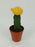 Cactus Red Cap (P55)