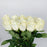 Rose 50cm (Imported) - White