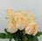 Rose 40cm (Imported) - Peach Avalanche