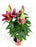 Lily Oriental 40 cm - Pink