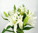 Fully Bloom Lily Siberia (Imported) - White [Clearance Stock]